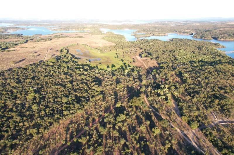 Comercialização de minérios GO