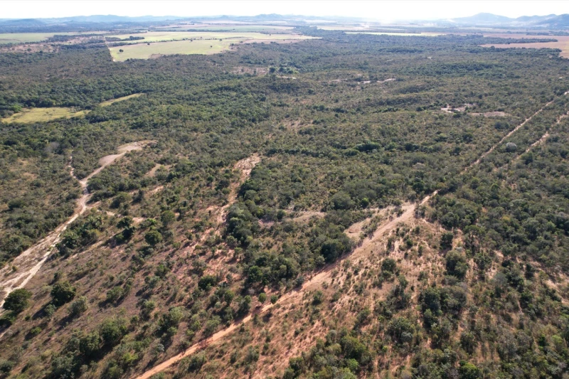 Pesquisa mineral em Goiás