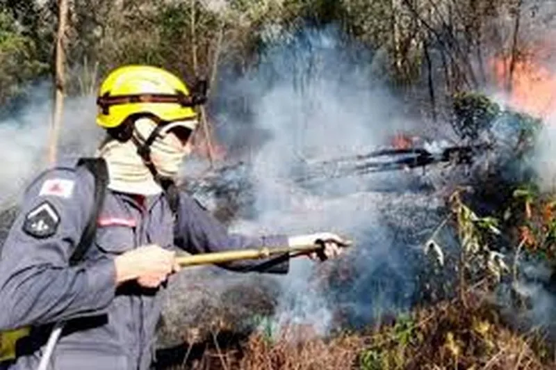 Imagem ilustrativa de Prevenção e combate a incêndio florestal
